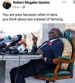1731622007704.png