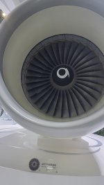 20241115_165155.jpg