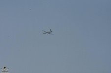 IMG_6155.jpeg