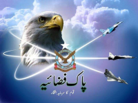 1731710777663.png