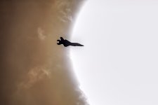 1731728978673.jpeg