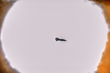 1731728994942.jpeg