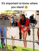 1731803031399.png