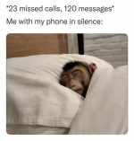 1731889308394.png
