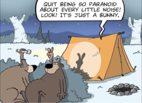 1731969024602.png