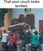 1732142996915.png