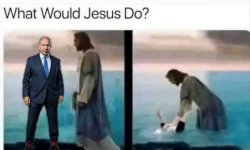 1732208775462.jpeg