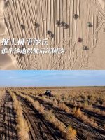 你们看到“爆改沙漠”的视频会热泪盈眶吗？_1_Tauruty._来自小红书网页版.jpg