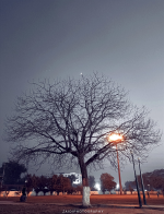 1732310529930.png