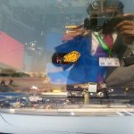 IMG_20241121_100437_291.jpg