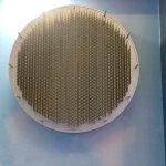 IMG_20241121_113526_624.jpg