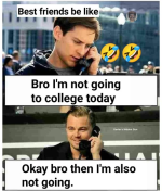 1732397032671.png
