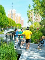 北京通惠渠 _ 千年运河，再现盛世风景_5_AECOM_来自小红书网页版.jpg