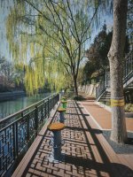 晌午 北京二环护城河_2_SPring_来自小红书网页版.jpg