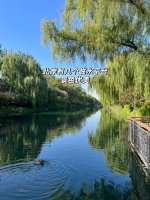 北京小物钓钓点 北护城河（鼓楼桥-德胜门）_7_小e的北京钓鱼地图_来自小红书网页版.jpg