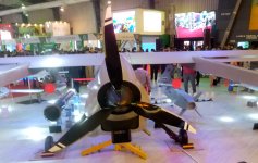 IMG_20241121_134620_850~2.jpg