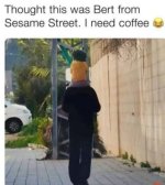 bert.jpg