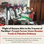 1732566364807.webp