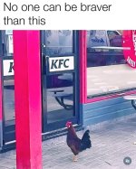 1732827514959.jpeg