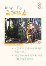 _世界只有一个墨脱，而墨脱拥有整个世界__1_自然向善_来自小红书网页版.jpg