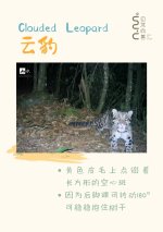 _世界只有一个墨脱，而墨脱拥有整个世界__2_自然向善_来自小红书网页版.jpg