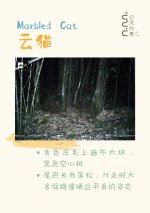 _世界只有一个墨脱，而墨脱拥有整个世界__4_自然向善_来自小红书网页版.jpg