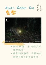 _世界只有一个墨脱，而墨脱拥有整个世界__5_自然向善_来自小红书网页版.jpg