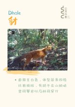 _世界只有一个墨脱，而墨脱拥有整个世界__6_自然向善_来自小红书网页版.jpg