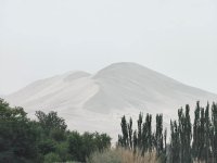 敦煌🏜新体验！治沙小分队～_11_Kiko💋_来自小红书网页版.jpg
