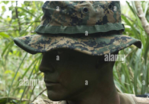 1733118691160.png