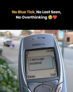 1733173692675.png