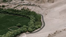 china-desert-to-forest.jpg