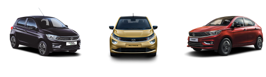 pv-pic1-new[1].png