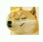 images (34).jpeg