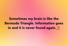 1733354238681.png