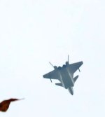 IMG_7911.jpeg
