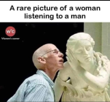 1733498555417.png