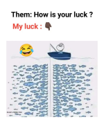 1733498659279.png
