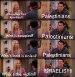 1733686230531.png