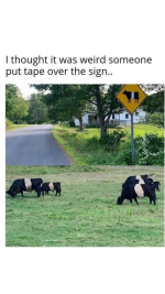 1733704546730.png