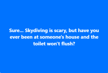 1733868073928.png