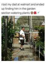 1733868472259.png