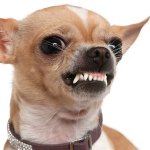 1733900227659.png 1733900227659.png