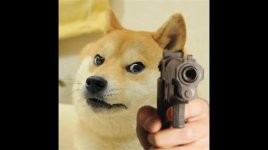 images (25).jpeg