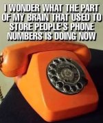 463883367_977803927704810_6006457499047013648_n.jpg