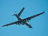 PAF WL-2.jpg PAF WL-2.jpg