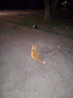 IMG_20241207_185751688.jpg