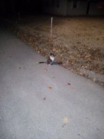 IMG_20241207_190532825.jpg