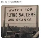 1734261768144.jpeg