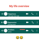 1734278372742.png